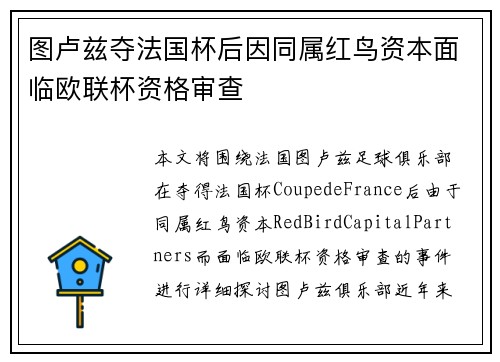 图卢兹夺法国杯后因同属红鸟资本面临欧联杯资格审查